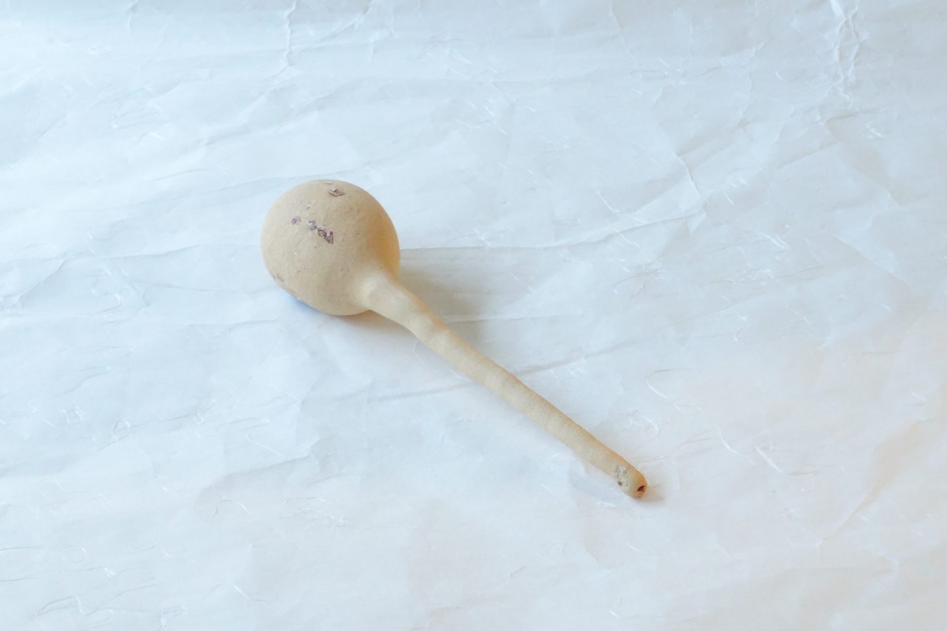 日本製 瓢杓（ひょうしゃく） | 小林漆陶 映える器ギャラリー 岐阜市