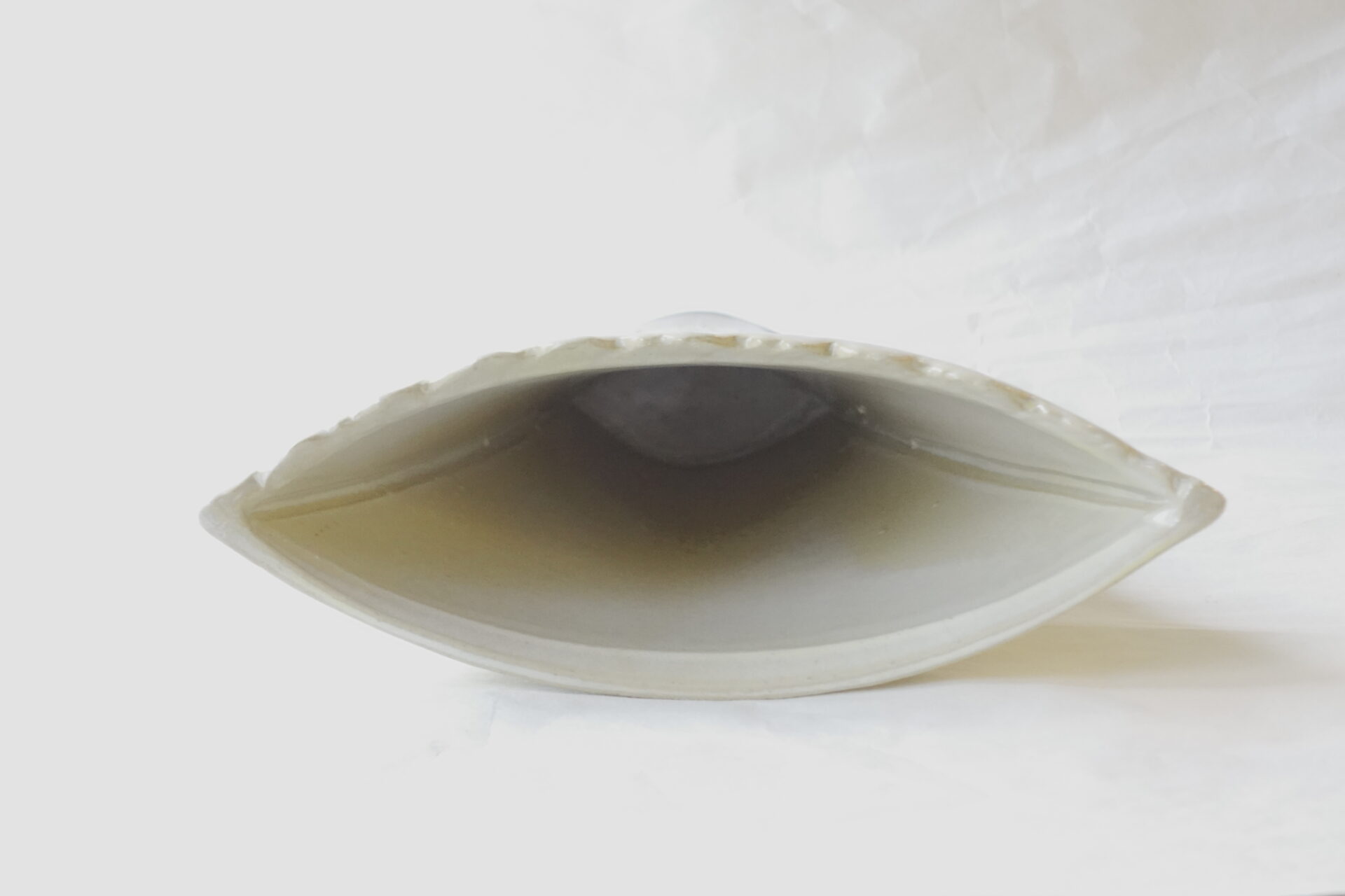 陶器 信楽焼 手づくり 花器 スタイリッシュ スマート シンプル ほとんどの花を引き立てる 見栄え お洒落 美濃焼 鉄瓶 陶器 漆 漆器 有田焼 金継ぎ 焼き物 食器 陶磁器 伝統工芸品 茶碗 工芸品 九谷焼 南部鉄器 陶芸 陶器市 岐阜 焼き物 磁器 瀬戸物 岐阜県 岐阜市 美殿町６−番地 小林漆陶 漆塗り器 織部焼 小林漆器 箸 金継ぎ お香 食器 茶道具 陶器 美濃焼専門店 お皿 ceramics ih pottery うつわ うつわ屋 お皿屋さん お茶 お茶碗 お箸 かまど この辺に陶器屋さんってあります とうきいち やきもの ガラス工房 ギフト　ギフトショップ マグカップ モダン焼物 レンジできる陶器 切子 南部鉄器 どこ　岐阜市南部鉄器販売店 南部鉄器購入 岐阜県器屋 土鍋 岐阜小洒落たお皿 お椀が出る店 器 塗り物 漆塗り 陶器屋さん 食器屋さん お椀 ひのき 岐阜城周辺茶道具 販売陶器 販売陶器屋さん 陶器店 漆器店 岐阜有名な器屋さん 岐阜県食器売ってるところ 岐阜駅 陶器工芸品店 徳利 売ってる店 急須販売 扇子 抹茶 掛け軸 修復 日本陶瓷 漆器 木の食器 樺細工 江戸切子 食器 漆の器 漆器 うるし 漆器店 漆塗 漆椀 火鉢 灰 美殿町商店街 美濃焼ショップ 岐阜市 湯呑み お店 付近 美濃焼き専門店 美濃焼販売 花瓶 茶器 オンライン輪島塗 なつめ 店近くのガラス屋さん 近くの陶器屋さん 酒器 ガラス 金継ぎ依頼 岐阜鉄器鉄瓶 取扱店 Japanese 陶器 修理 陶器専門店 陶器小売店 岐阜陶器屋 陶器店 陶磁器 陶磁器専門店 陶芸家 おすすめ お店 岐阜食洗機対応 漆椀 Gifu JapanesetablewareJapanesecrafts Japaneseceramics Japanesepottery Handcrafted TraditionalCrafts Japaneseculture Traditionalart Japaneseteautensils TeaCeremony Japaneselacquerware インテリア 一輪挿し 入れ物 陶芸 陶芸皿 陶器いろいろ 陶器店 絵皿 絵柄 オンラインショップ 置物 おひつ オーブントースター 置物スタイリッシュ お皿 オブジェ 置物かわいい お皿陶磁器 お椀陶器 陶器欠損補修 花瓶 貫入 傘立て 陶器花 カップ 花 陶磁器 陶器金継ぎ キャニスター 器 急須 京都 金彩 九州 急須 陶芸食器 コーヒーカップ コップ 小物入れ 皿 ごはん鍋 食洗機 修理 食器 修理金継ぎ 陶器販売 瀬戸物 染付 タンブラー 耐熱陶器 茶碗 近くの陶器店 通販 土物 通販 手作り陶器 陶磁器 鍋